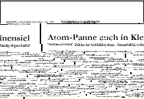 PDF zum Artikel